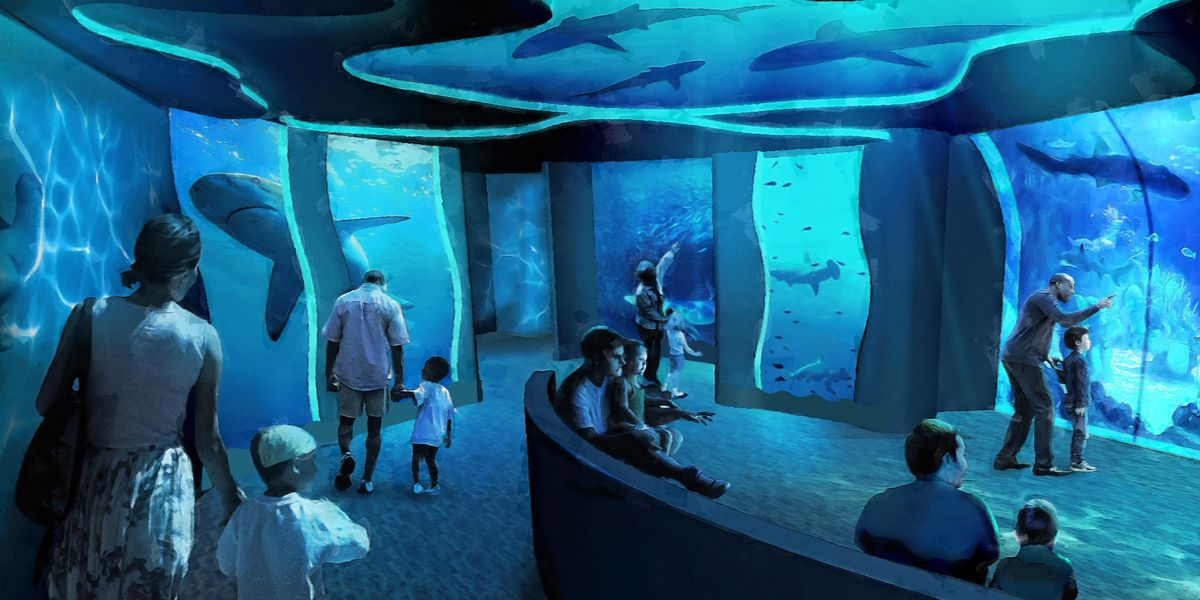 SeaWorld San Diego's new Shark Encounter gets opening date