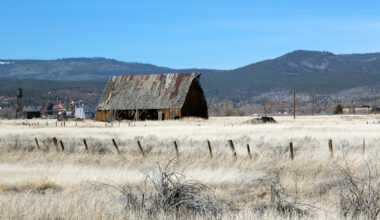 Despite heavy Bay Area rains, drought just crept back into California