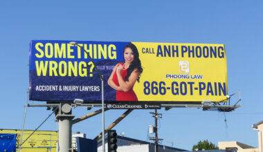 As Calif. election season heats up, Anh Phoong stars in political ad