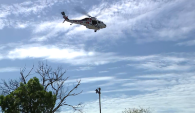 San Jose worker rescued from palm tree after medical emergency 75 feet in air