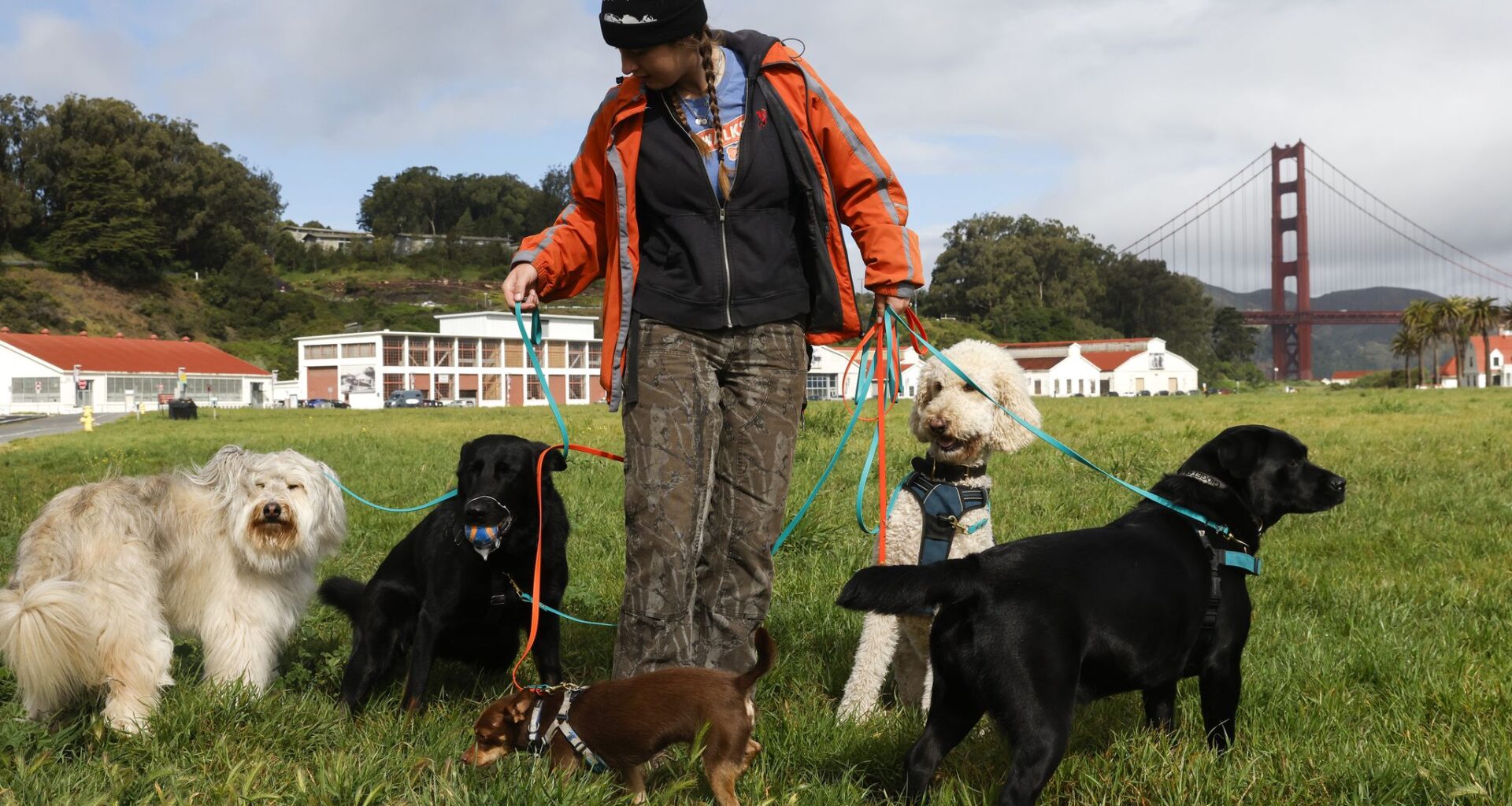 SF’s luxury dog day care and walking services are booming — and costly