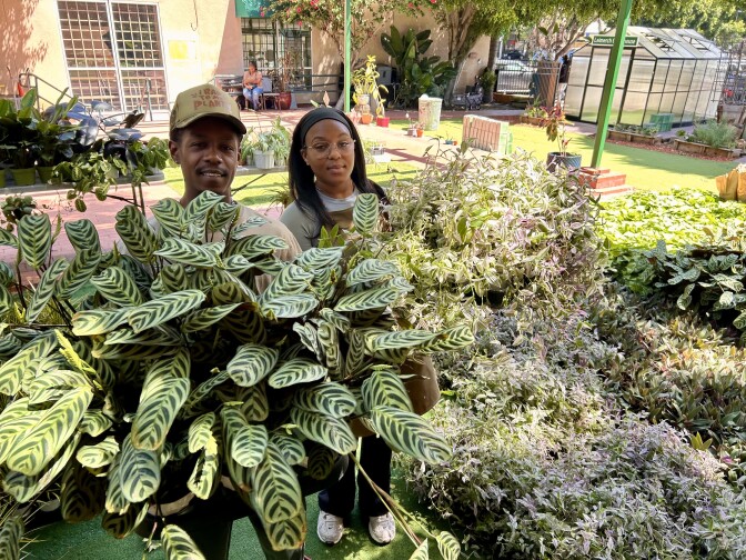 Two dark skinned people stand holding immense plants, which almost cover them. They're standing in a green outdoor space.