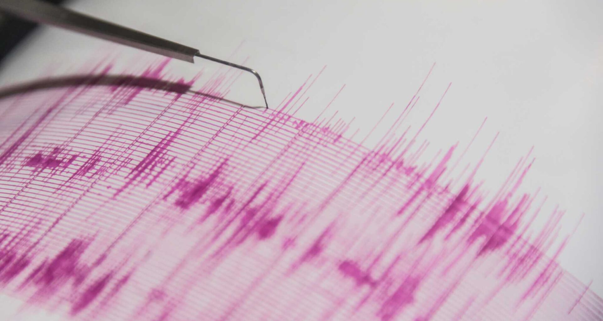 Two small earthquakes strike near San Francisco Zoo