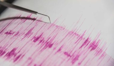 Two small earthquakes strike near San Francisco Zoo