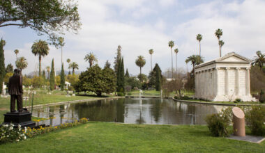 Geese | Hollywood Forever Cemetery