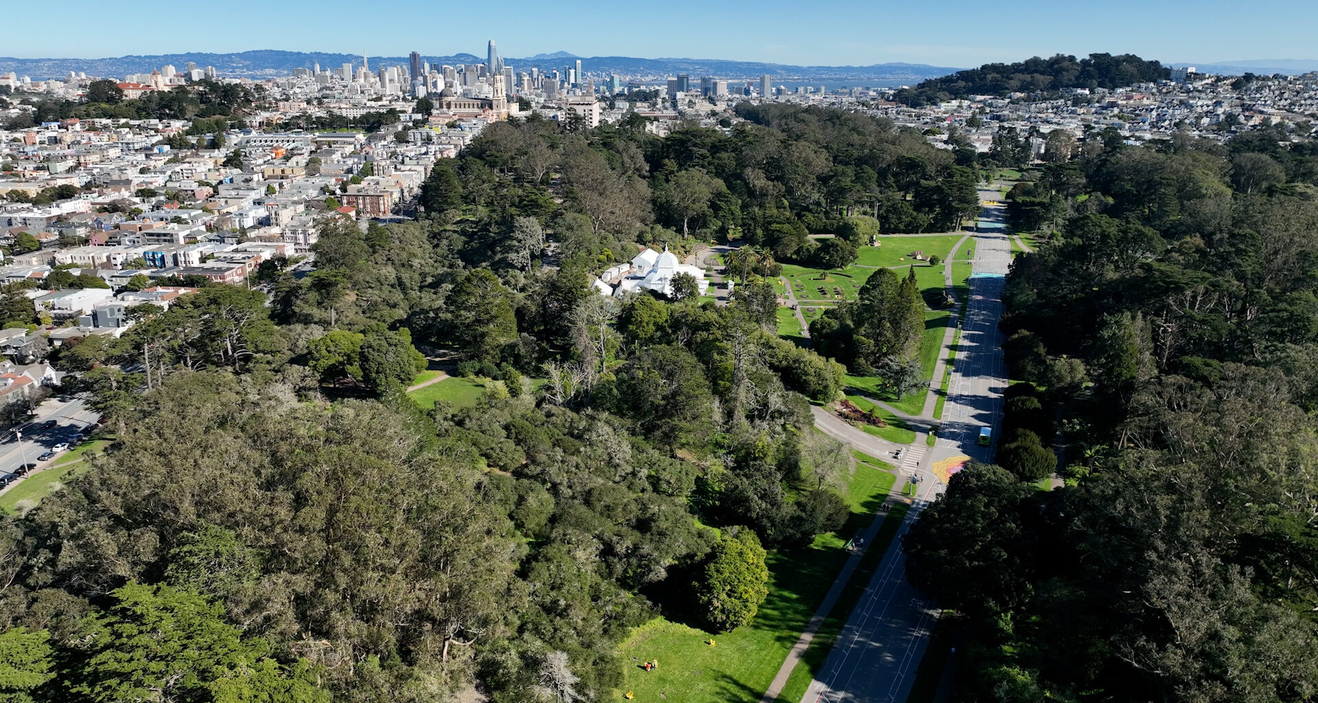 A beloved fixture of Golden Gate Park is coming at a hefty cost