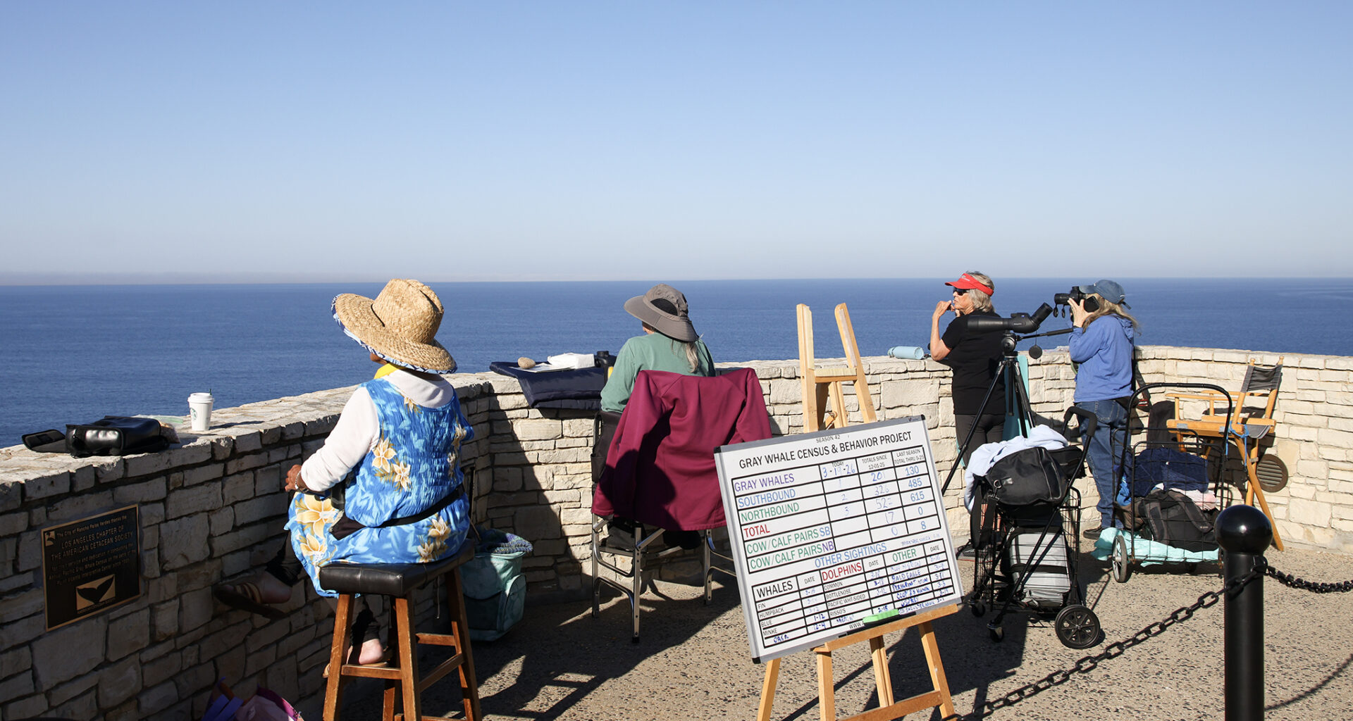 California's steadiest whale watcher doesn't like what she sees