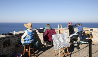 California's steadiest whale watcher doesn't like what she sees