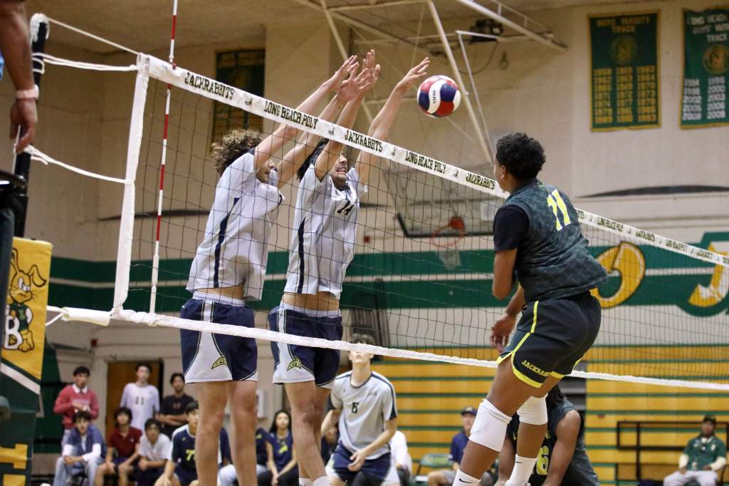 Millikan leads area teams into CIF-SS boys volleyball playoffs – Press Telegram