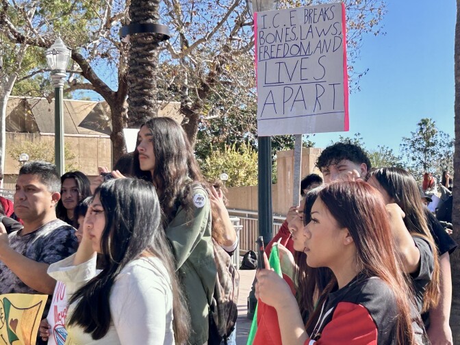 About 10 people in profile at a protest. One holds a sign that says "I.C.E. breaks bones, laws, freedom, and lives apart."