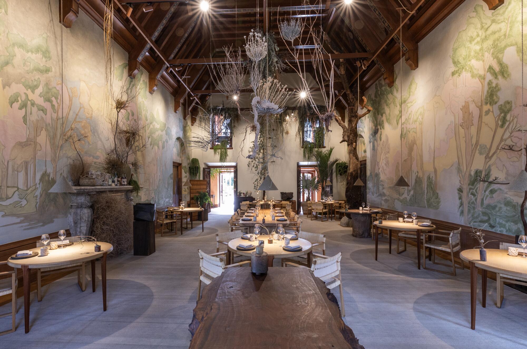 Inside the dining room of Noma LA in Silver Lake, decorated with hanging plants.