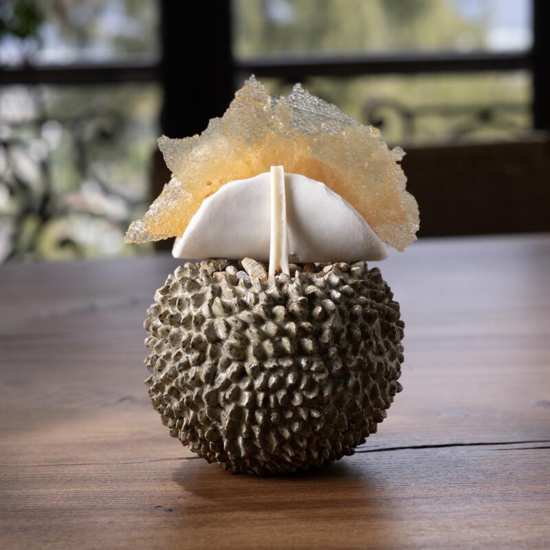 Koji pancake served on a spiky bowl. 