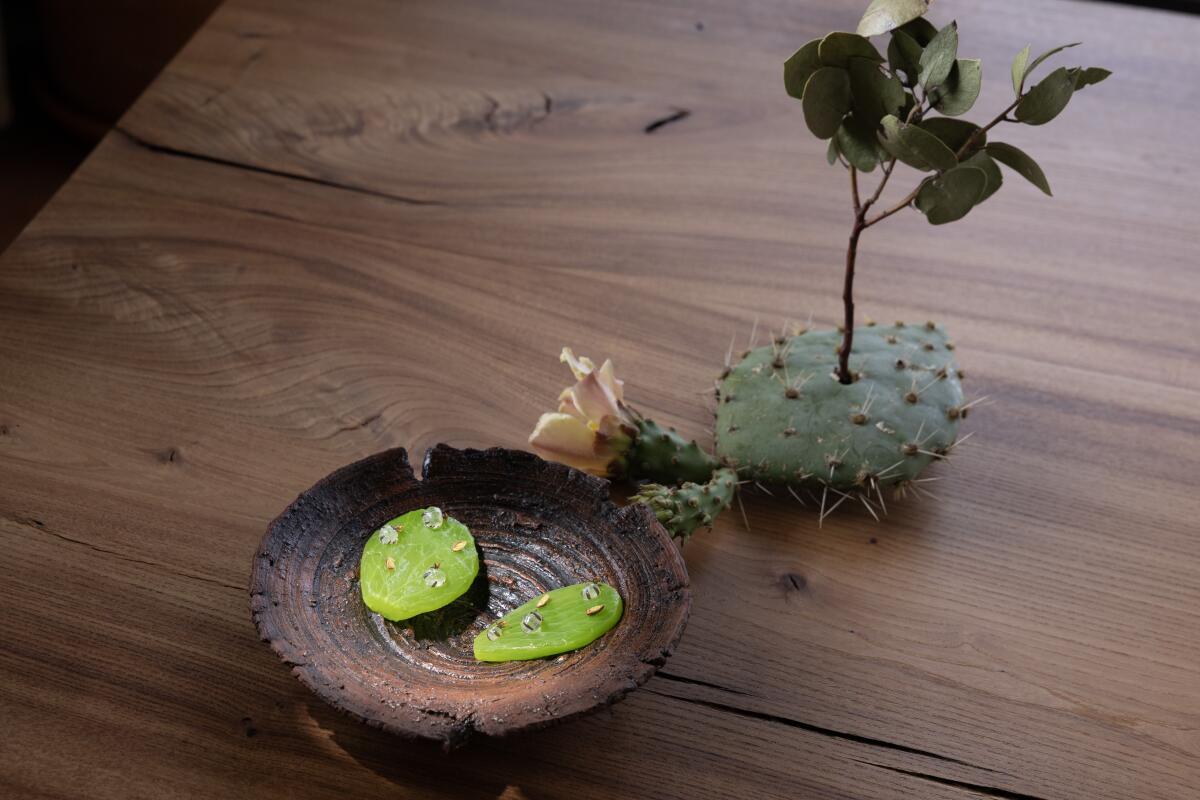 Cactus pickle with honeypot ants.