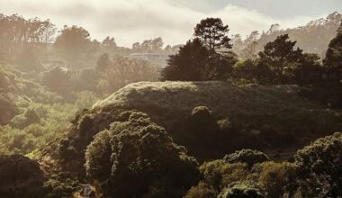 5 Hikes with a Side of Brunch, from SF to Santa Cruz