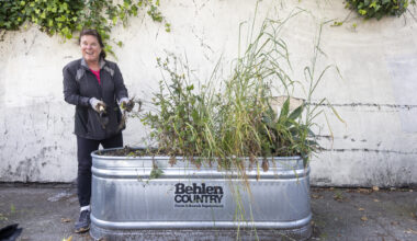 An SF woman with a shovel fixes a neighborhood issue