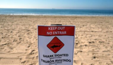 Dangerous great white shark temporarily closes strip of popular California beach