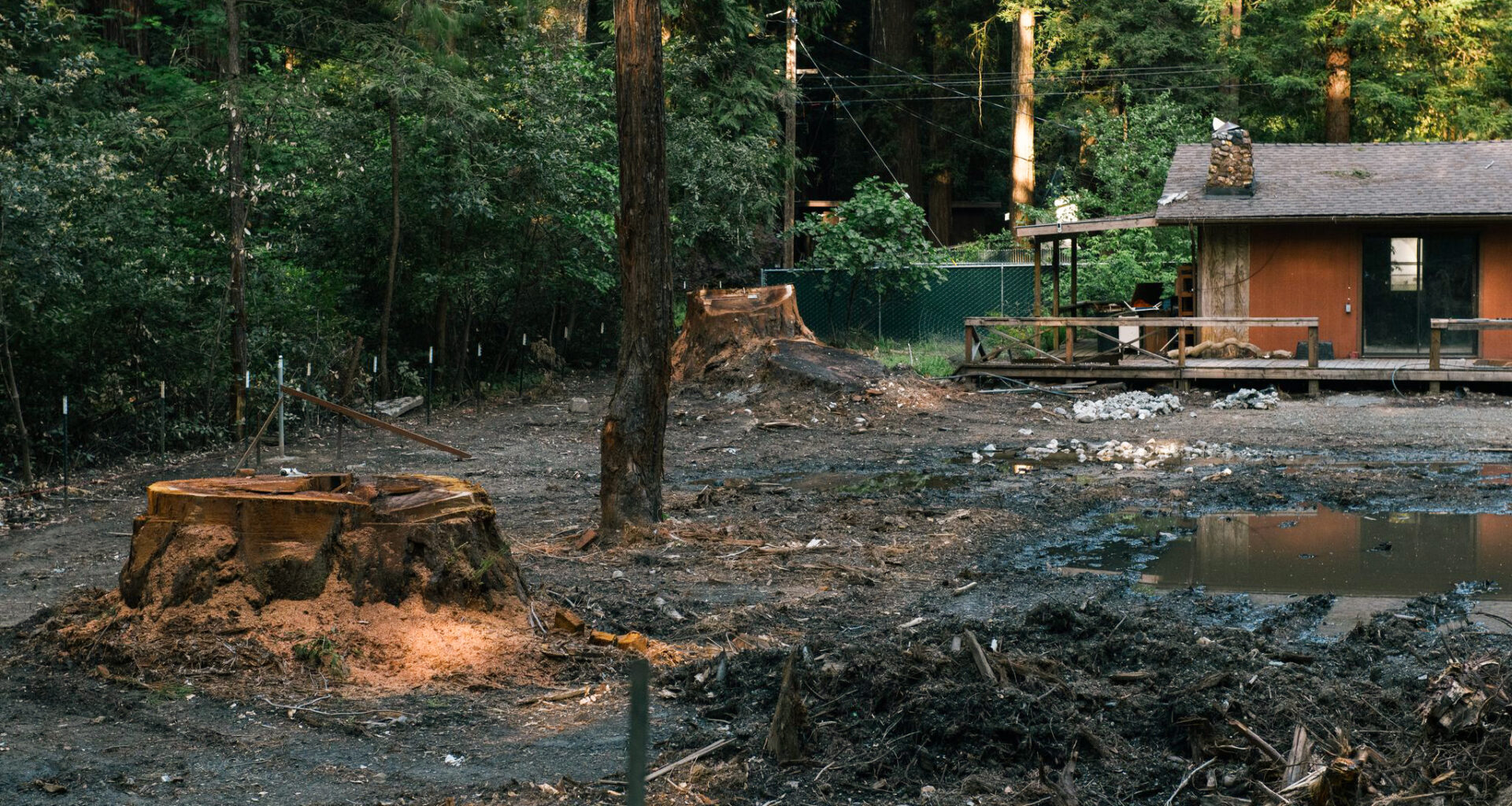 Northern California homeowner cuts down redwood tries, sparks outrage