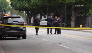 Man with prior murder warrant arrested in random stabbing of woman in downtown LA, police say