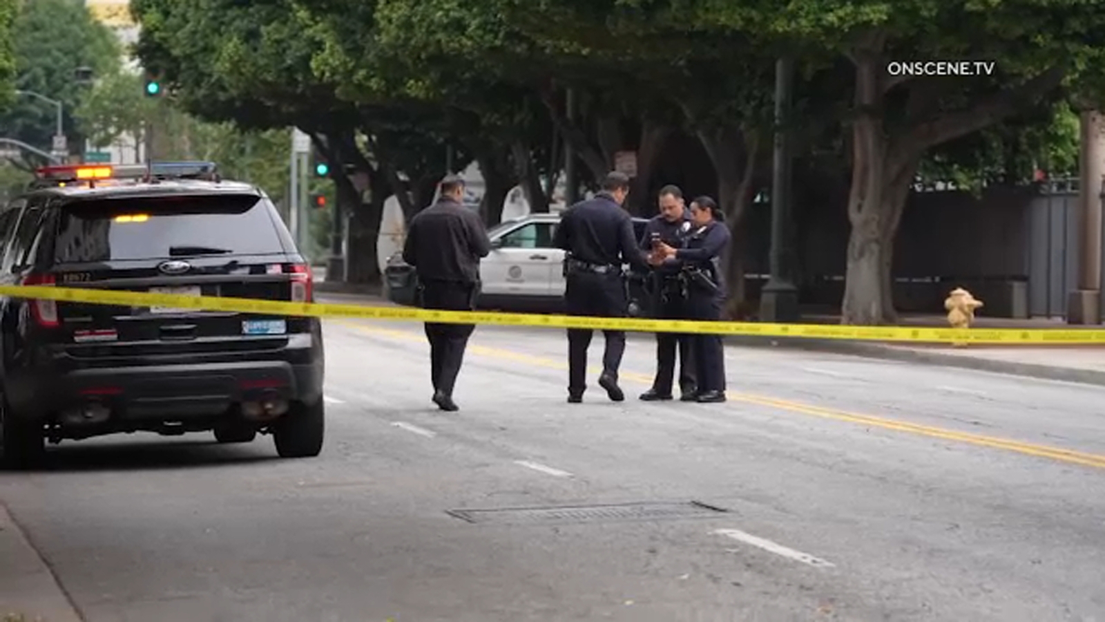 Man with prior murder warrant arrested in random stabbing of woman in downtown LA, police say