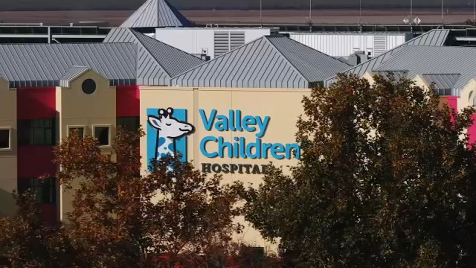 Healthy Kids Healthy Futures: How dolls mirroring kids help them