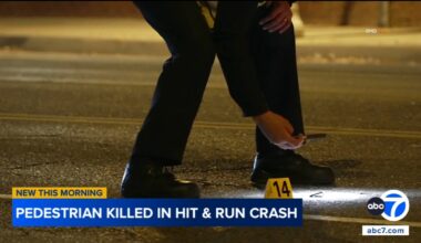 San Fernando Valley: Pedestrian dies after being struck by hit-and-run driver in Winnetka, LAPD says