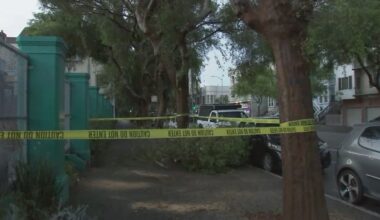 Rain upends trees, causes flooding in San Francisco Bay Area Saturday; here's a look at Level 2 storm impact