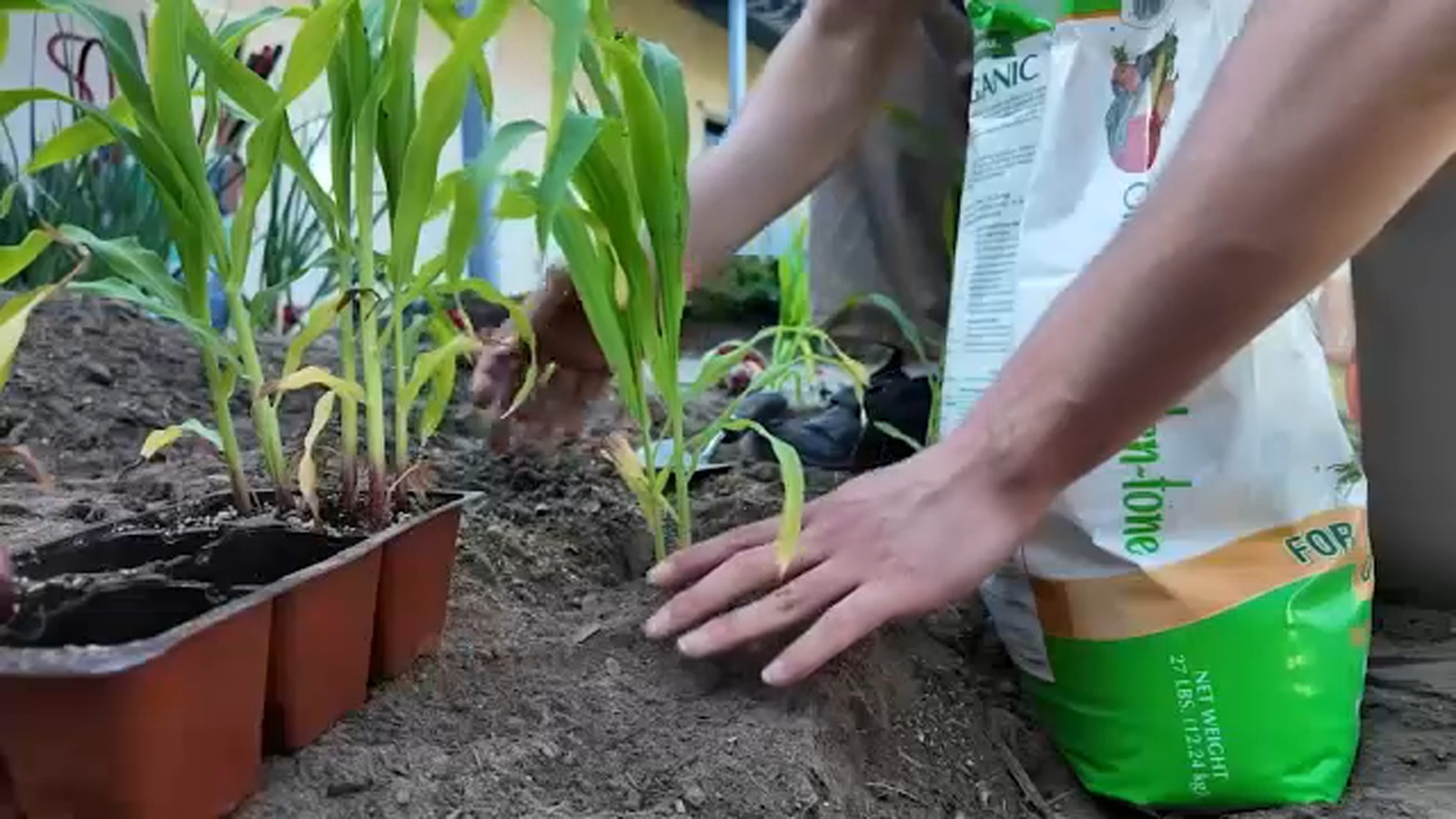 Horticulture students see personal growth alongside flourishing gardens at Alice M. Worsley School
