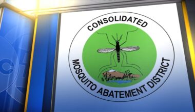 How to protect you and your home from mosquitoes