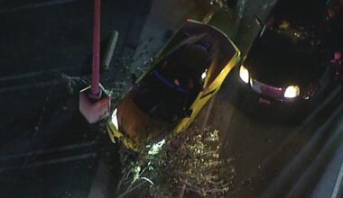 Wild chase ends when speeding Corvette crashes into tree in Torrance