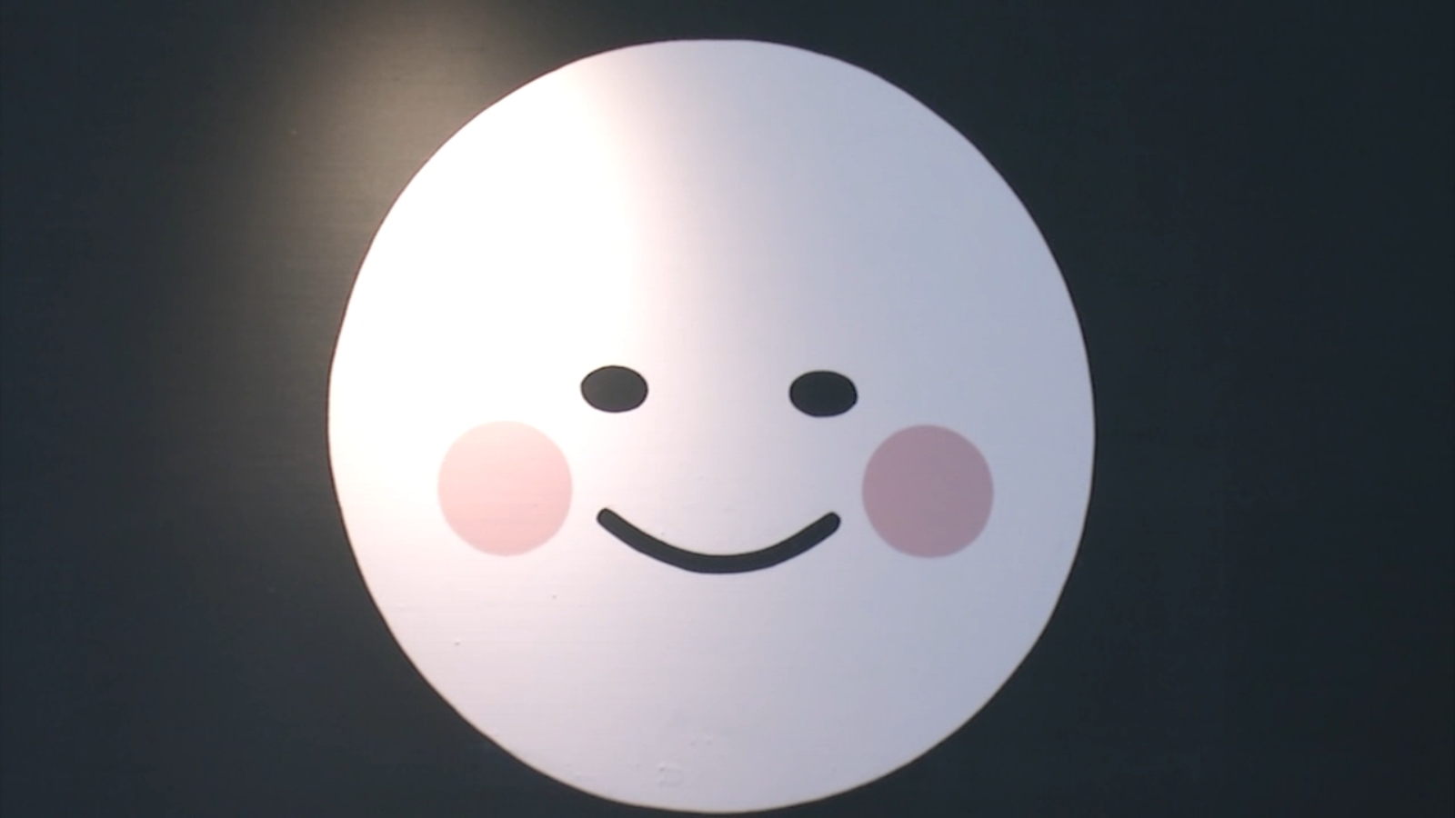 Artificial intelligence boss named Luna running San Francisco store Andon Market in Cow Hollow neighborhood