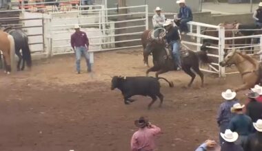 Opening night of the 112th Clovis Rodeo