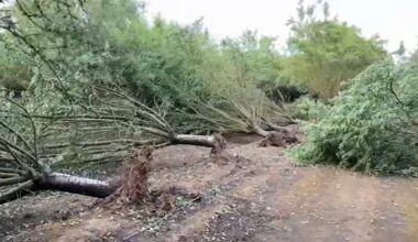 Fresno County farmers assessing crops for damage following storm