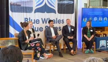 Gray whale found dead near Alcatraz in San Francisco as California expands program to slow down ships on Earth Day