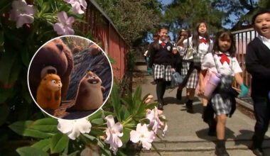 San Francisco school cleans up for Earth Day with inspiration from Pixar film 'Hoppers'