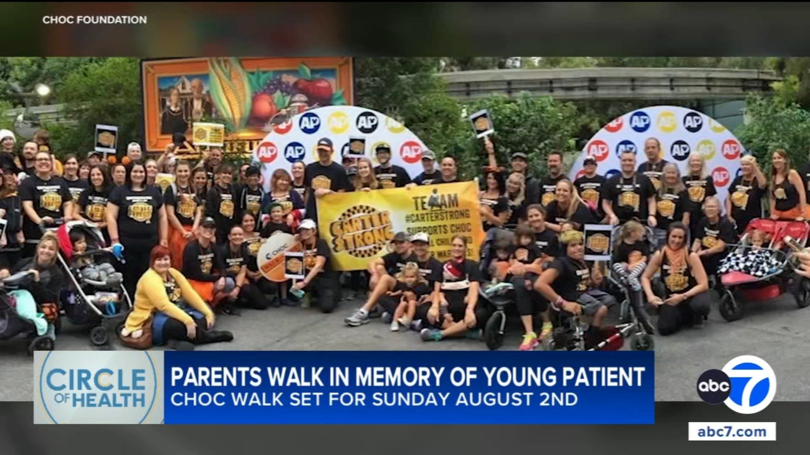 2026 CHOC Walk: Fountain Valley boy's dreams of becoming future cancer doctor propels Fountain Valley family forward