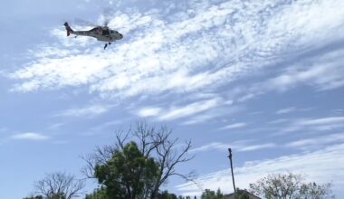 San Jose tree trimmer rescued after suffering medical emergency while cutting palm tree about 75 feet above ground: authorities