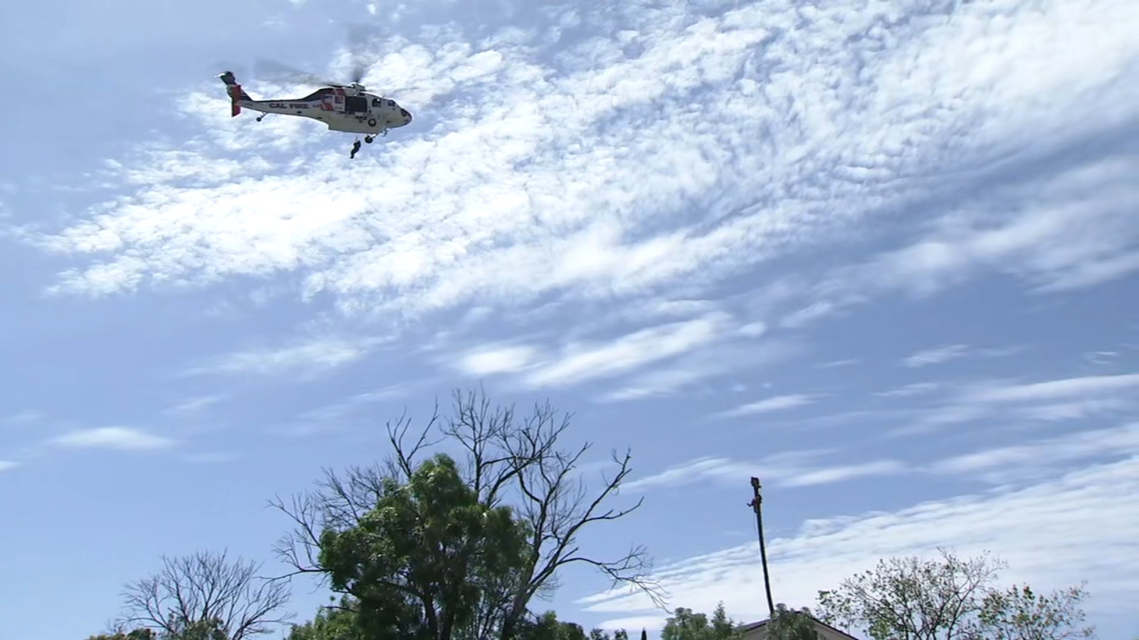 San Jose tree trimmer rescued after suffering medical emergency while cutting palm tree about 75 feet above ground: authorities