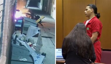 Downtown Fresno arsonist sentenced, must register with local police