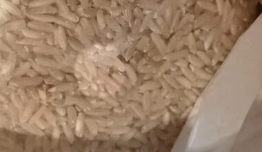 San Francisco woman finds 'moths, larvae' inside rice purchased on Amazon