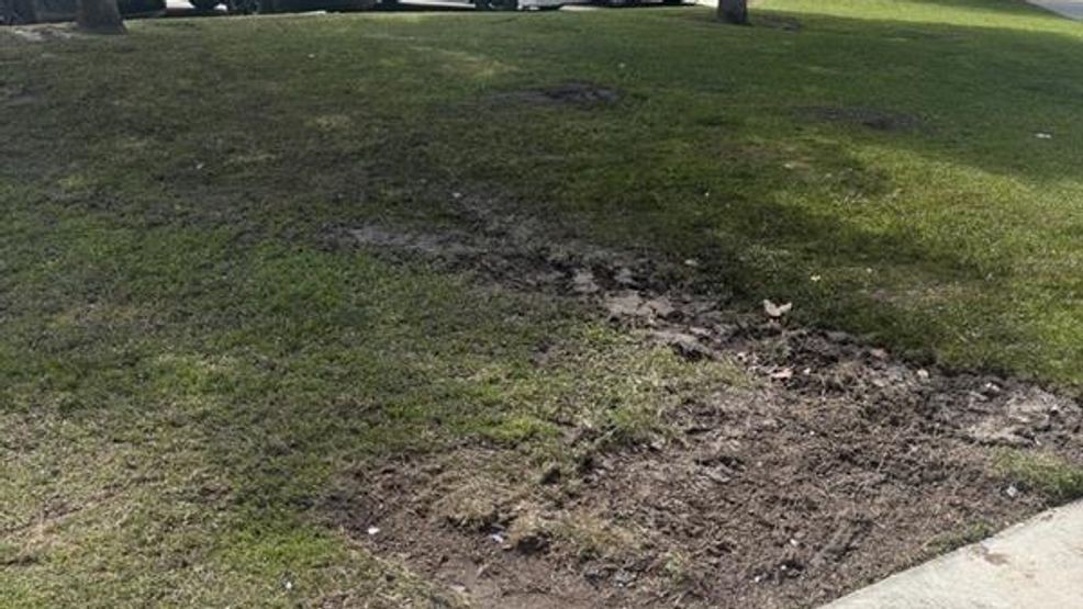 A large portion of grass was taken out after the crash on Thursday night. (Steve Virgen, KBAK/KBFX)