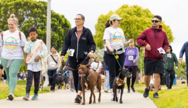 San Diego Humane Society walk for animals returns May 2 – NBC 7 San Diego