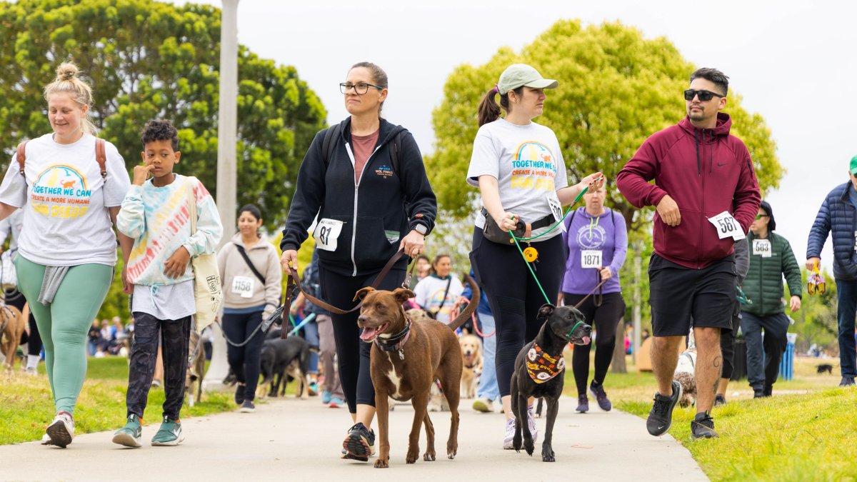 San Diego Humane Society walk for animals returns May 2 – NBC 7 San Diego