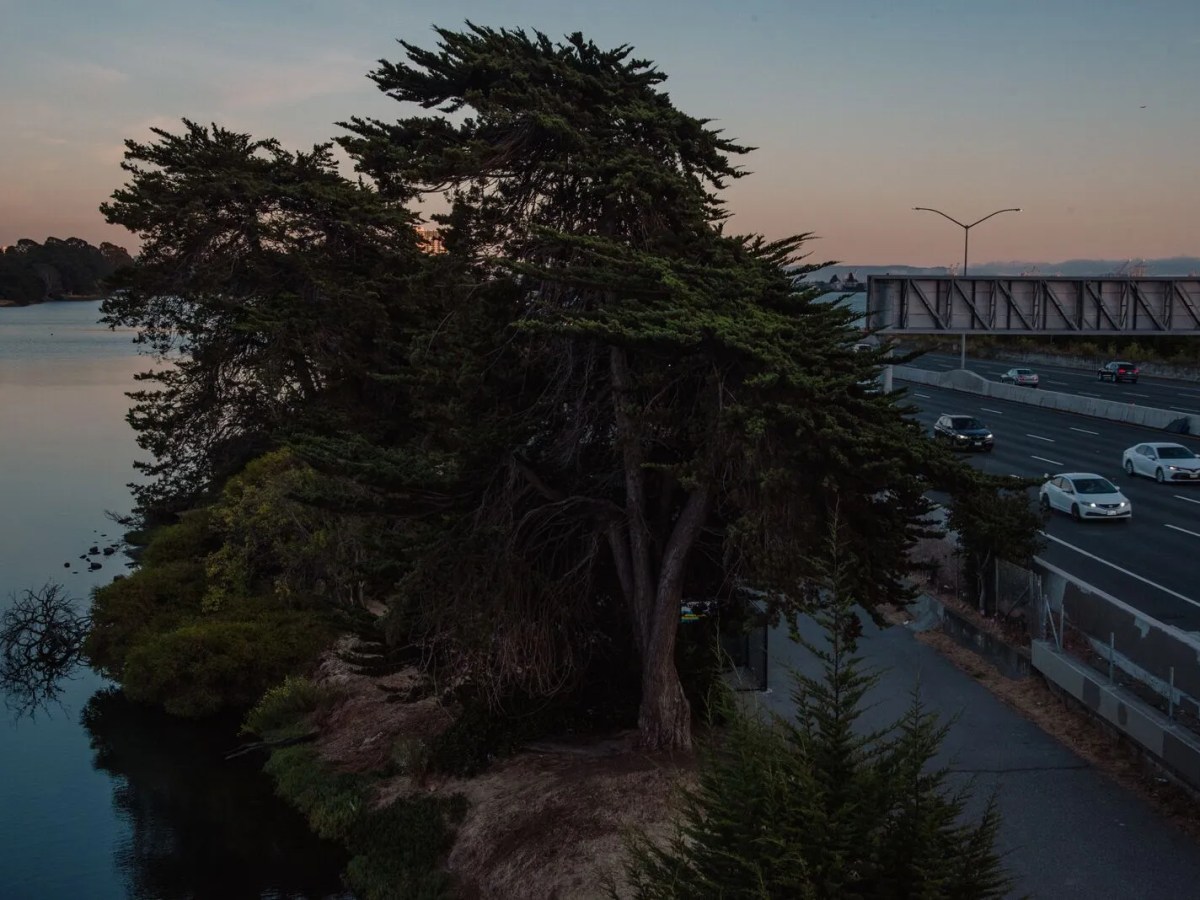 Berkeley gets $4M to help clean Aquatic Park’s polluted lagoon and stop I-80 from collapsing