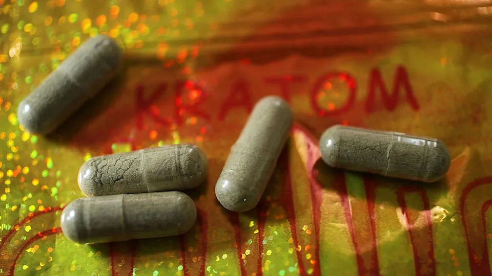 <div>MIAMI, FL - MAY 10: In this photo illustration, capsules of the drug Kratom are seen on May 10, 2016 in Miami, Florida. The herbal supplement is a psychoactive drug derived from the leaves of the kratom plant and it's been reported that people are using the supplement to get high and some states are banning the supplement. (Photo by Joe Raedle/Getty Images)</div>