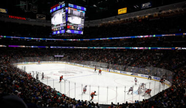 Anaheim Ducks Hockey Standings