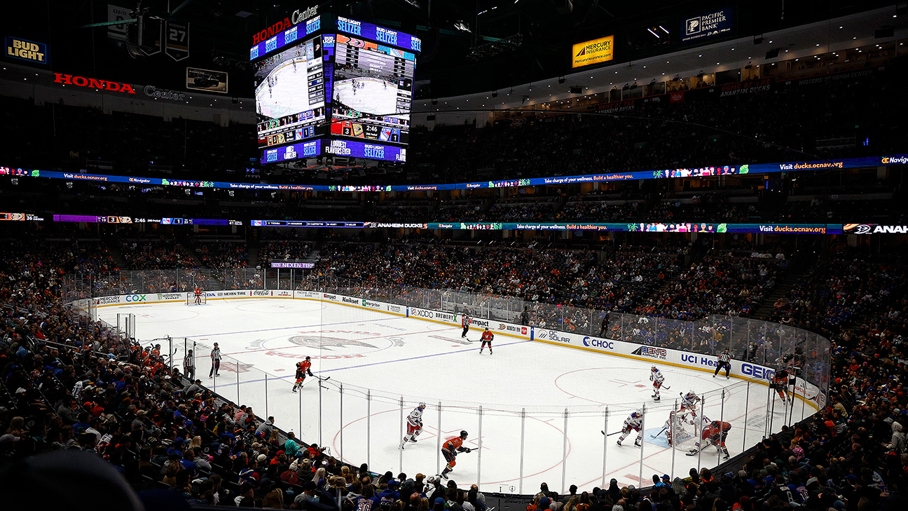 Anaheim Ducks Hockey Standings
