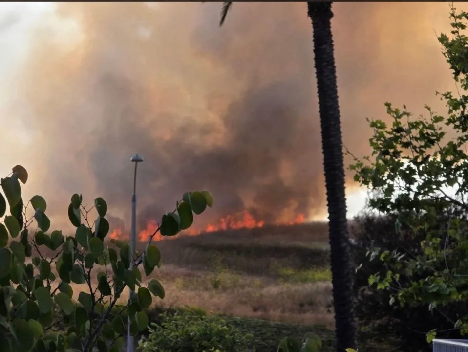 <em>Boulevard Fire in Oceanside (Oceanside Fire Department).</em>