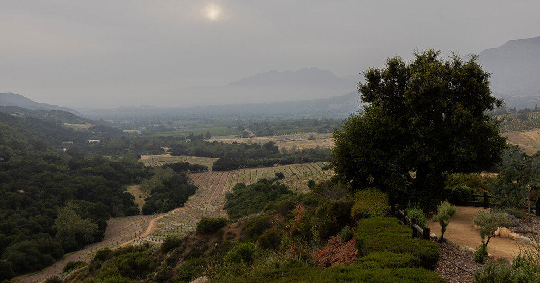 Where to Eat, Sleep and Shop in Ojai, California