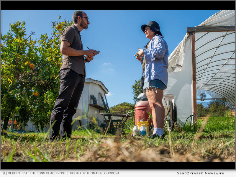 A reporter at the Long Beach Post, now part of The LA Local, interviews a resident in Long Beach, CA. Photo by Thomas R. Cordova.