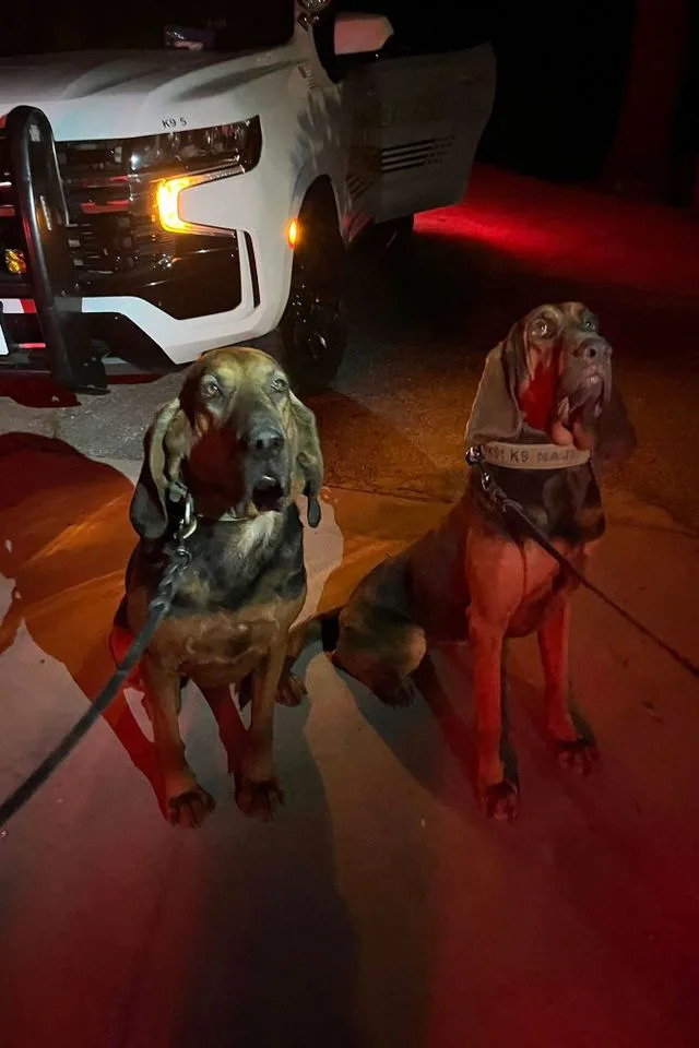 Keva and Naji, the K9s who located the missing womanCredit: Rancho Cucamonga Police Department